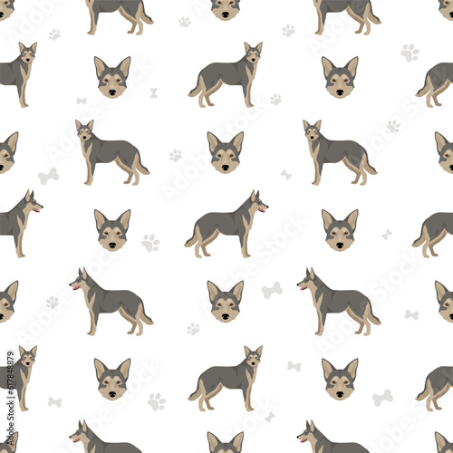 Saarloos Wolfdog seamless pattern. All coat colors set.  All dog breeds characteristics infographic