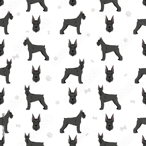 Schhnauzer Giant seamless pattern. Different poses, coat colors set