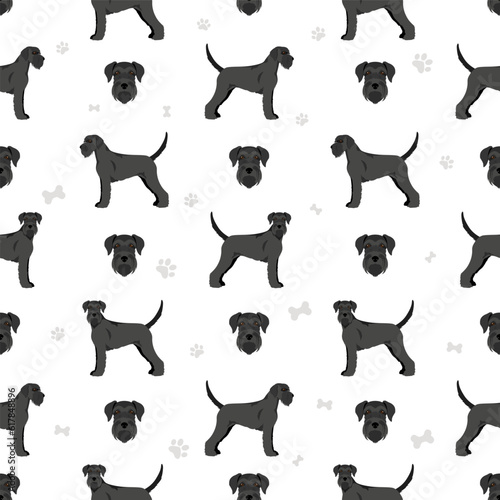 Schhnauzer Giant seamless pattern. Different poses, coat colors set