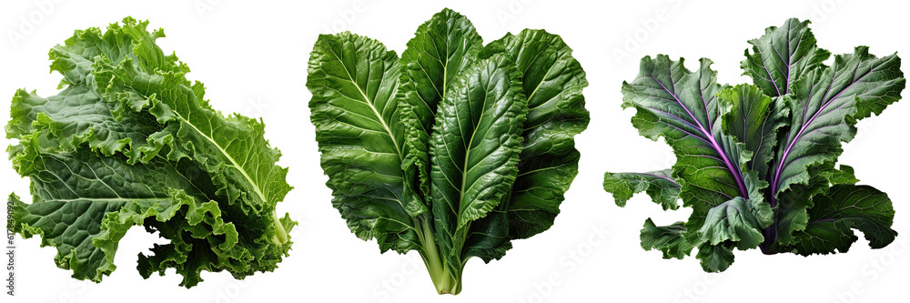 Kale leaves isolated transparent background, PNG.
 - obrazy, fototapety, plakaty 