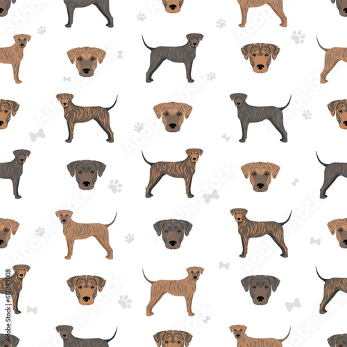 Treeing Tennessee Brindle seamless pattern. Different poses, coat colors set