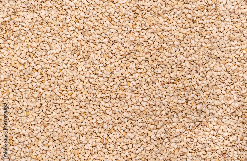 White sesame seeds, surface, from above. Sesamum indicum, also called benne. Common ingredient in cuisines around the world, with a nutty flavor, and with one of the highest oil content of any seed. White sesame seeds, surface, from above. Sesamum indicum, also called benne. Common ingredient in cuisines around the world, with a nutty flavor, and with one of the highest oil content of any seed.