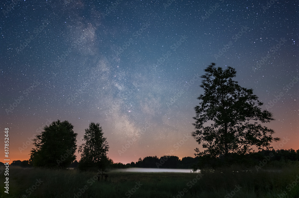 milky way over the forest