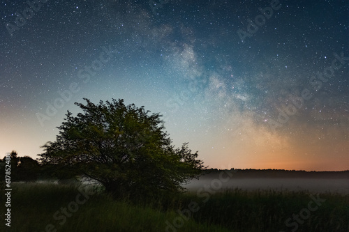 Milky way over the meadow