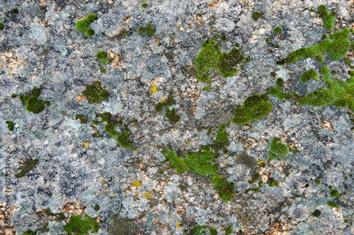 Valokuvatapetti Closeup of old mossy gray stone