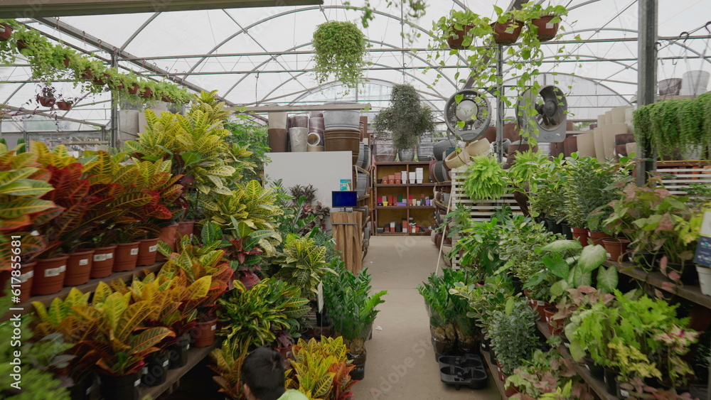 Interior of plant store. Local retail business of Flower Shop