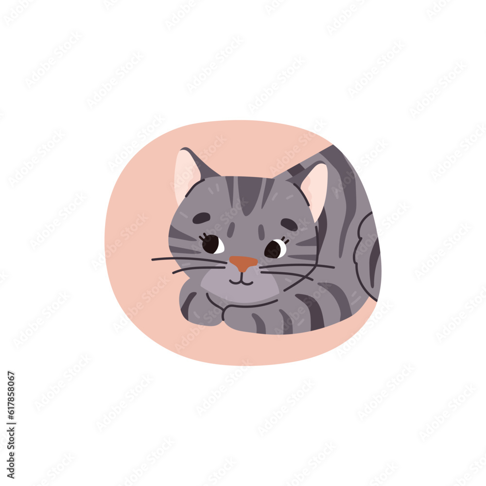 Cute kitten on color backdrop for stickers and prints, flat vector isolated.