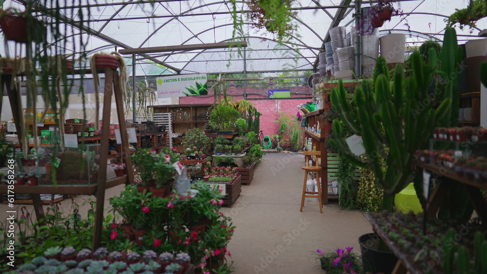 Horticulture Store interior in tracking shot motion. Flower Shop local business
