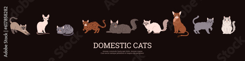 Domestic cats banner design with breeds of animals, flat vector illustration.