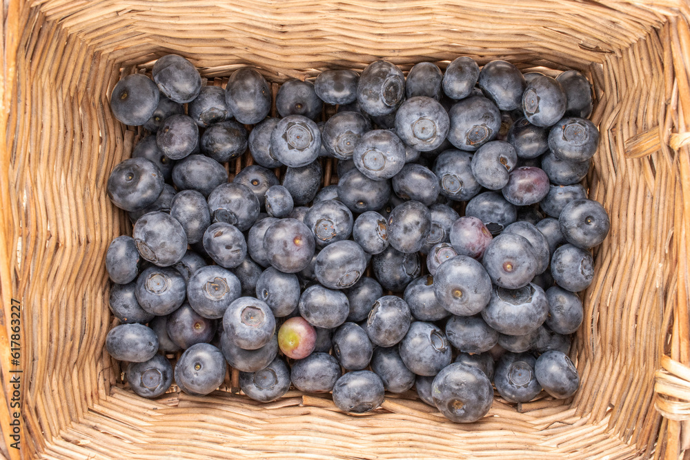 Several ripe blueberries in a basket, macro, top view. Several ripe blueberries in a basket, macro, top view.