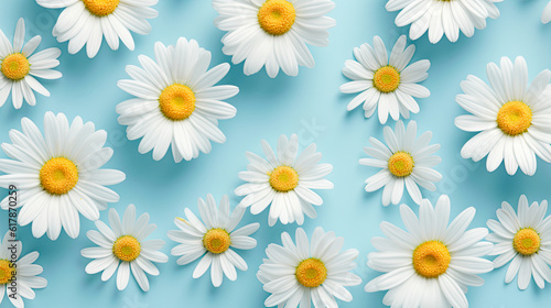 Daisy flower background. Floral pattern design. Generative Ai