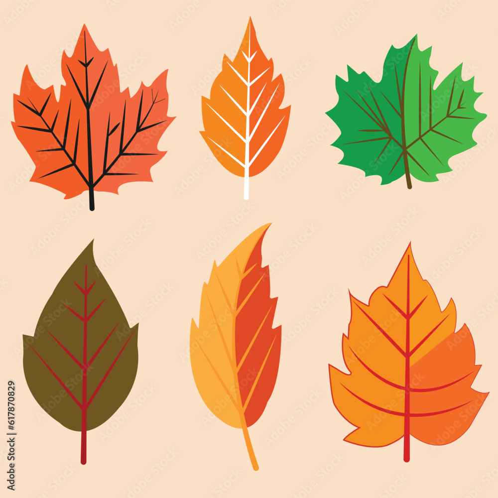 vector flat autumn forest and hand drawn autumn leaves collection.