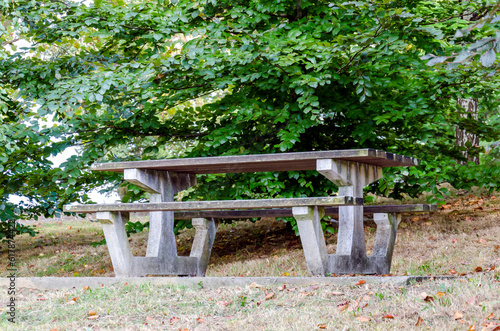 Picnic type stone bench located under a tree in a park