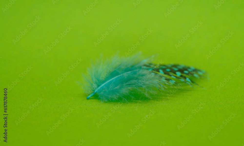 green background with crystal quartz crystals is a beautiful background