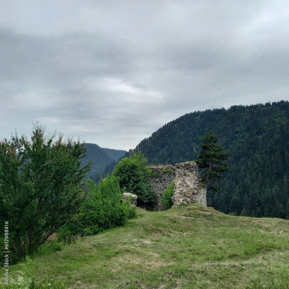 Fototapeta premium landscape in the mountains