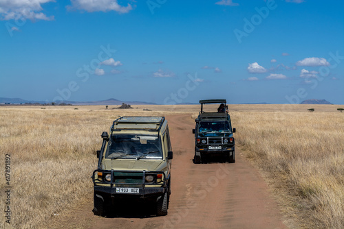 Savannah landscape in Serengeti National Park © David