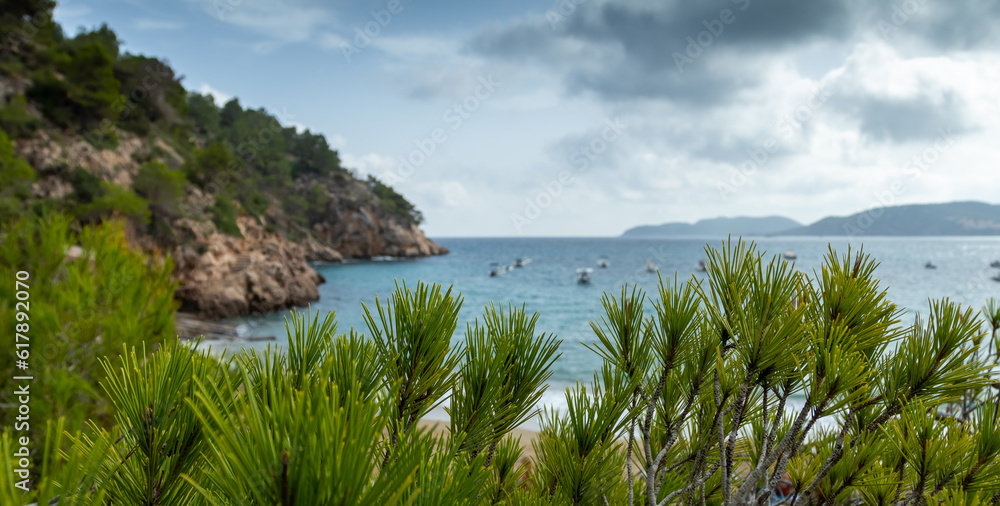 Coastline Ibiza