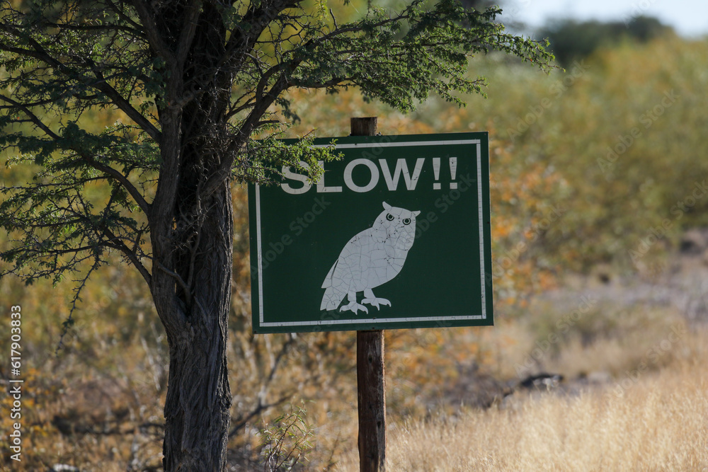 Road sign indicating to slow down and be alert for owls, Kalahari 
