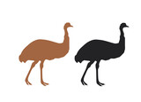 Ostrich silhouette design, vector illustration.