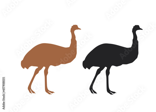 Ostrich silhouette design, vector illustration.