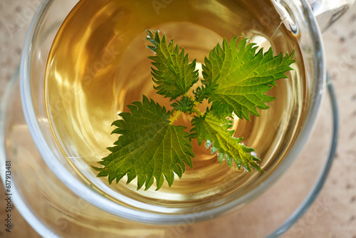 Stinging nettle leaf in a cup of herbal tea photo