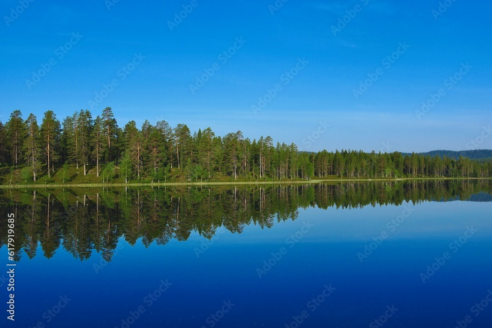 reflection of trees in the lake