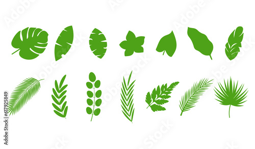 Collection of tropical leaves isolated on the white background.
