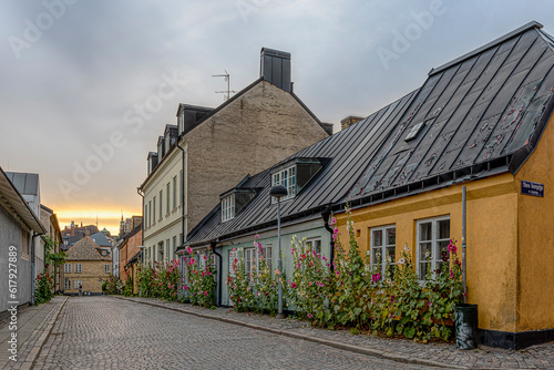 picturesque alley with hollyhocks in the sunset in the old town of Lund