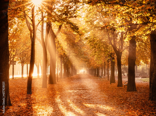 Fototapeta Naklejka Na Ścianę i Meble -  autumn mood with sunrays in the big Prater park