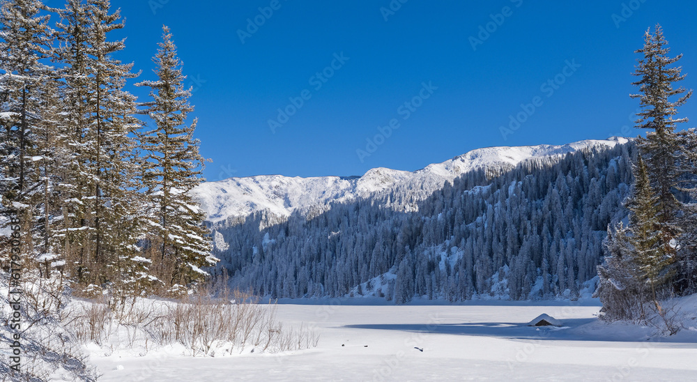 Fototapeta premium beautiful cabin in the middle of snow with big mountains in the background and tall pine trees
