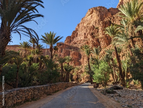 Scenic oasis Ait Mansour in the Anti-Atlas mountains of Morocco