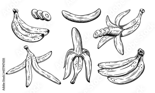 Set of hand drawn bananas sketch isolated on white background. Vector illustration