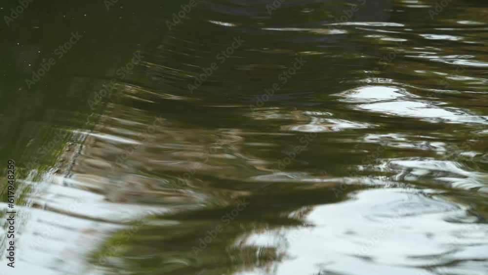 Beautiful Slow Motion flowing water over a cascading bridge forming stunning patterns and textures. showing the stunning movement of nature and the calm energy that exists. perfect for meditating Beautiful Slow Motion flowing water over a cascading bridge forming stunning patterns and textures. showing the stunning movement of nature and the calm energy that exists. perfect for meditating