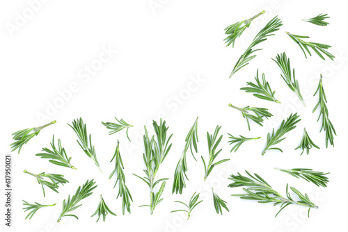 Fresh green rosemary isolated on a white background with copy space for your text. Top view. Flat lay