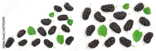 Mulberry with leaf isolated on white background with copy space for your text. Top view. Flat lay
