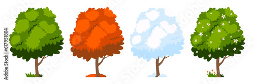 Four seasons tree isolated on white background, spring with flowers, green summer, yellow autumn, snow winter. Vector