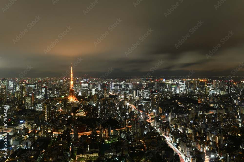 Fototapeta premium Tokyo Tower at night Japan