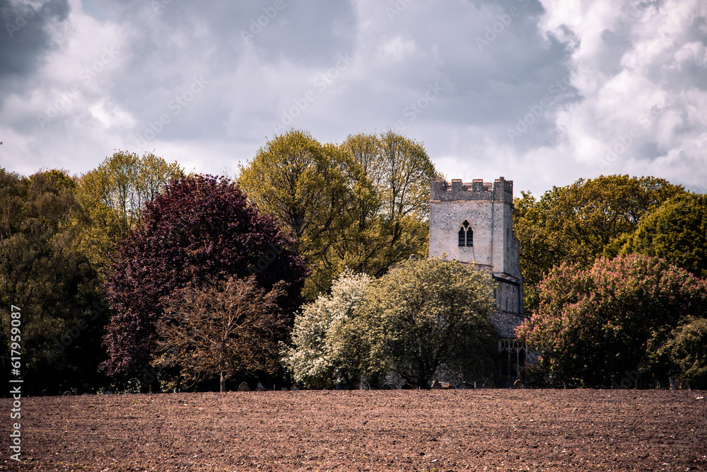 The Church of St Michael in Didlington, Norfolk amongst trees on a cloudy day with farm land in foreground