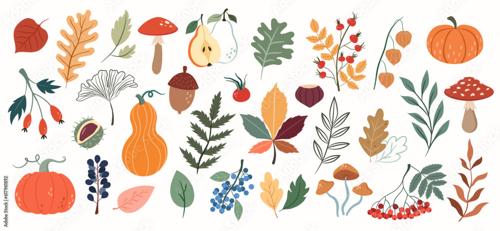 Vector set with autumn elements, forest plants, mushrooms, pumpkins, berries, leaves, rose hips on a white background - obrazy, fototapety, plakaty 