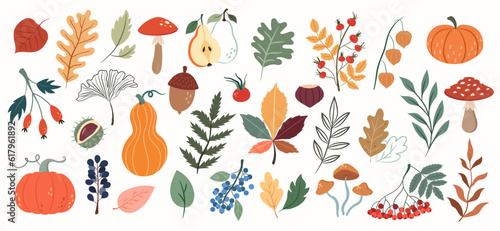 Vector set with autumn elements, forest plants, mushrooms, pumpkins, berries, leaves, rose hips on a white background