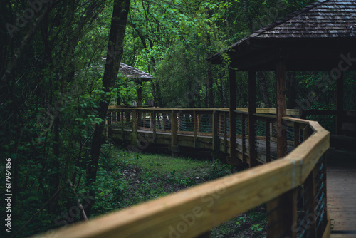 Pavilion in the garden in Auburn Green Trees and guiding woods