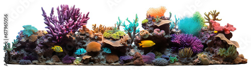 Colorful coral reef with marine flora and fauna over transparent background
