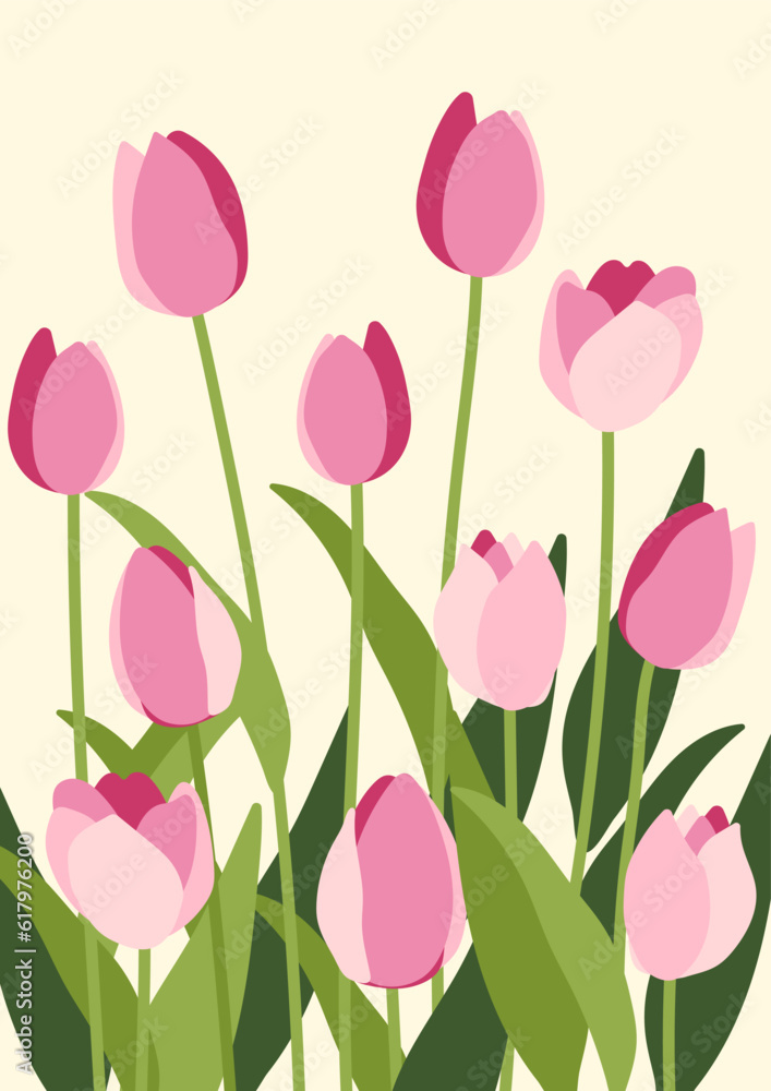Tulips on white background.Eps 10 vector. Tulips on white background.Eps 10 vector.