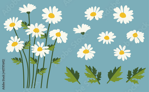 Chamomile flower background.Eps 10 vector.