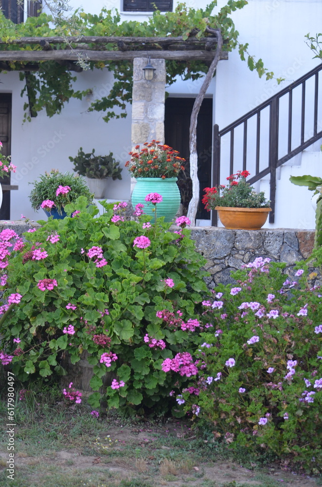 Naklejka premium Greece in 2023 (Chania). 