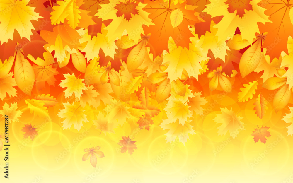 autumn themed compositions - isolated bouquets of natural leaves, single maple leaves, the abstract piles of maple leaves of yellow, orange, and red colors background.