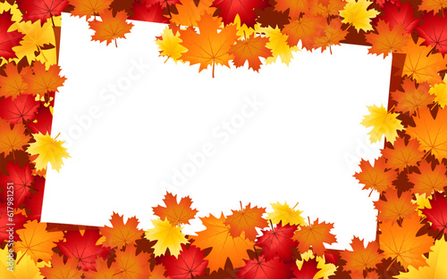 autumn themed compositions - isolated bouquets of natural leaves  single maple leaves  the abstract piles of maple leaves of yellow  orange  and red colors background.