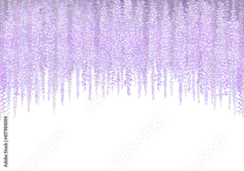 神秘的な紫　藤の花のイラスト　白背景