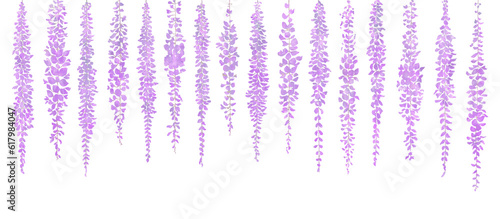  藤の花のアナログ風イラスト 神秘的な紫