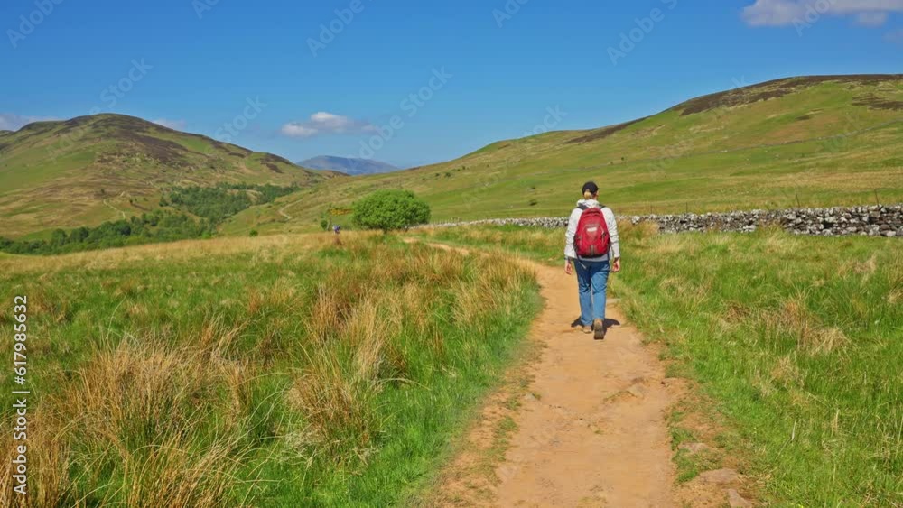 Backpacker walking on the West Highland Way trail towards Conic Hill, surrounded by picturesque Scottish meadows and hills on a sunny summer day, Scotland Backpacker walking on the West Highland Way trail towards Conic Hill, surrounded by picturesque Scottish meadows and hills on a sunny summer day, Scotland
